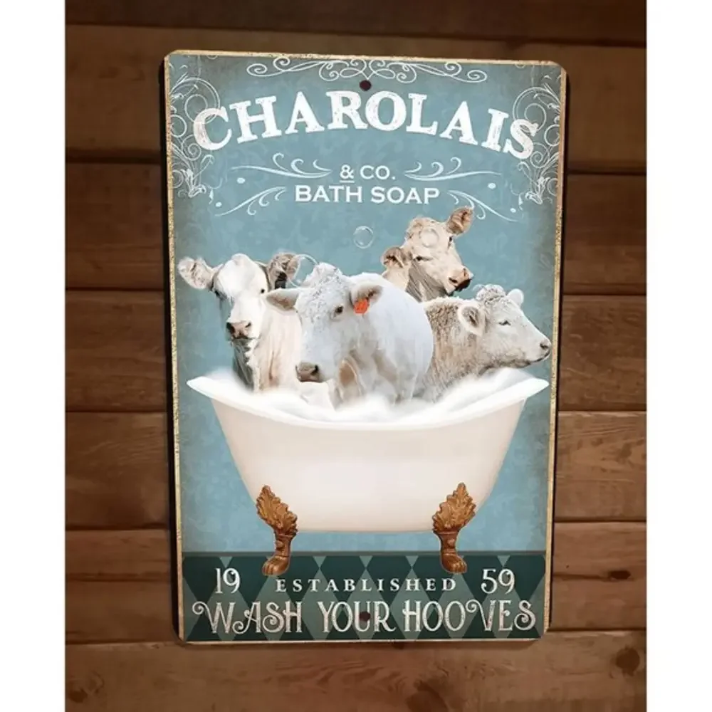 Charolais Cattle Cow Bath Soap 8x12 Metal‎ Wall Sign Animal Poster